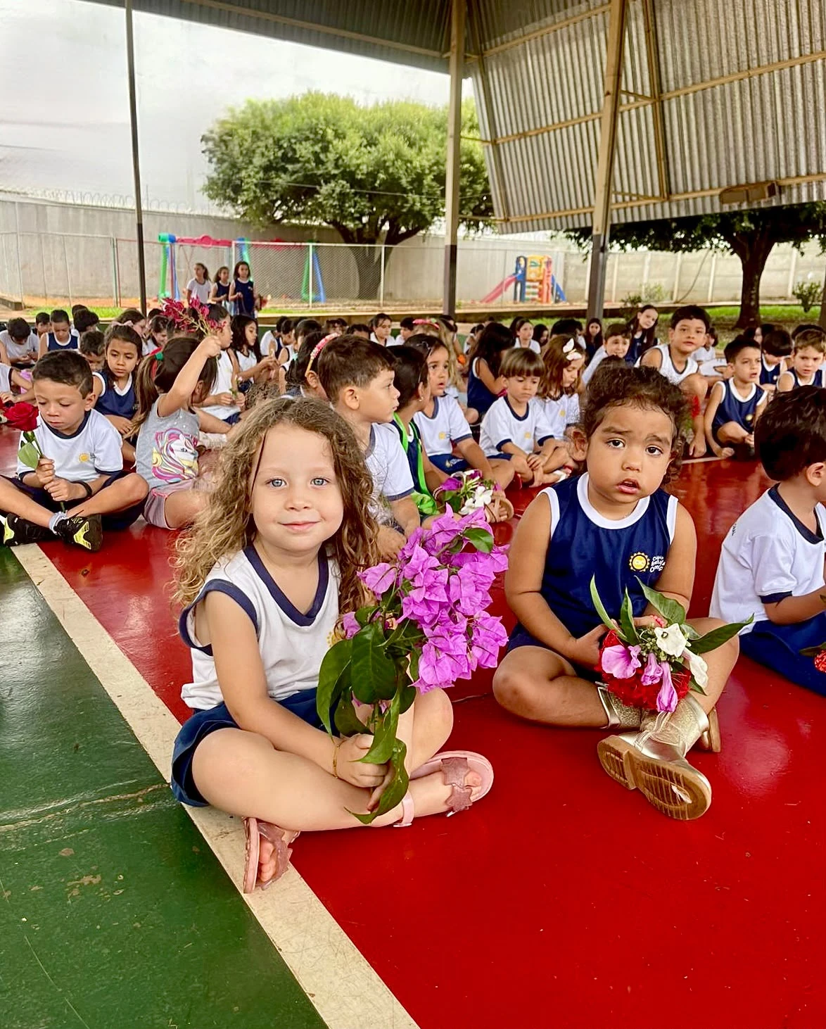 Educação Infantil